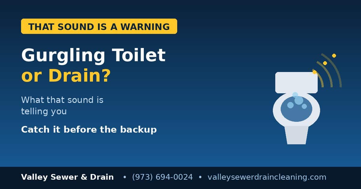 Gurgling Toilet or Drain